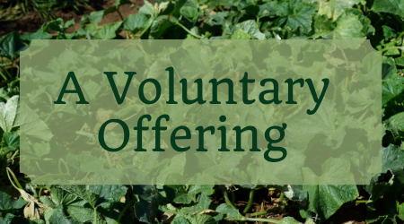 A Voluntary Offering